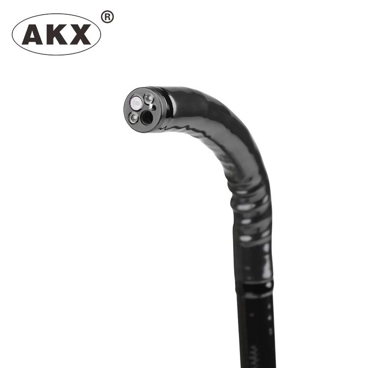 HD Veterinary Flexible endoscope  system