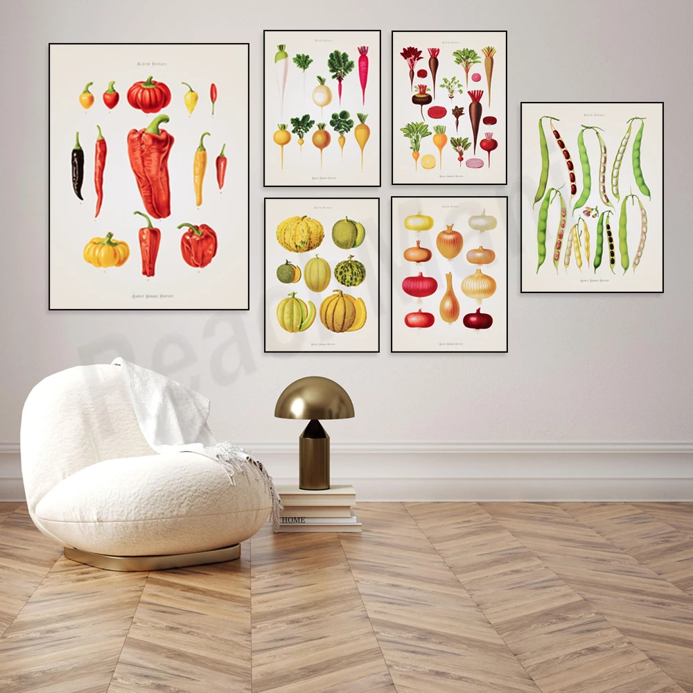 Melon and pumpkin, peppers, zucchini, beans, beetroot, cabbage, kale plant vegetables poster, culinary art, kitchen decoration