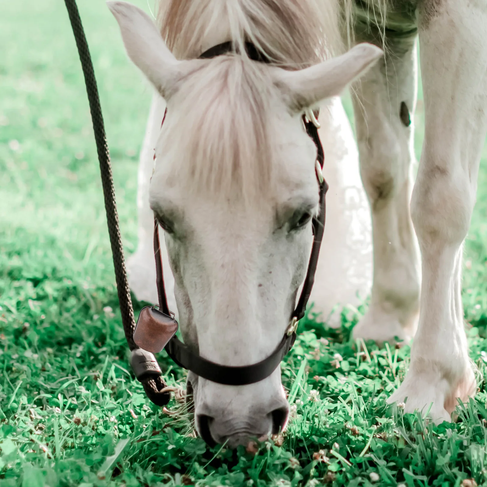 

2Pcs Small Thicken Iron Bell for Sheep Horse Cow Farming Accessories Red Bronze Animal Hanging Bell Loud Alarm Pendant