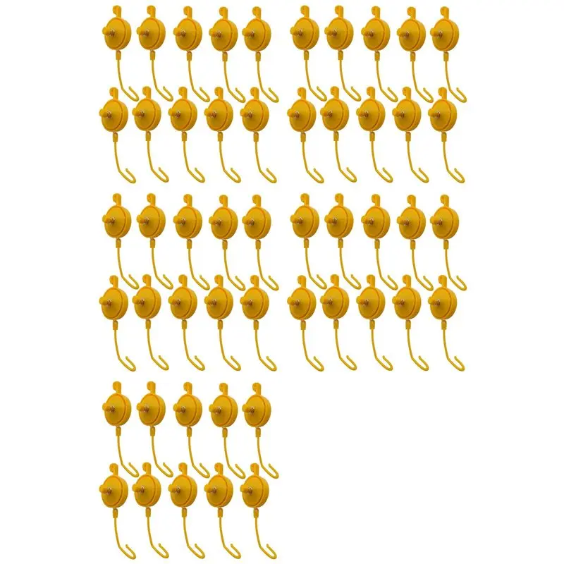 【Last Chance】Plant …