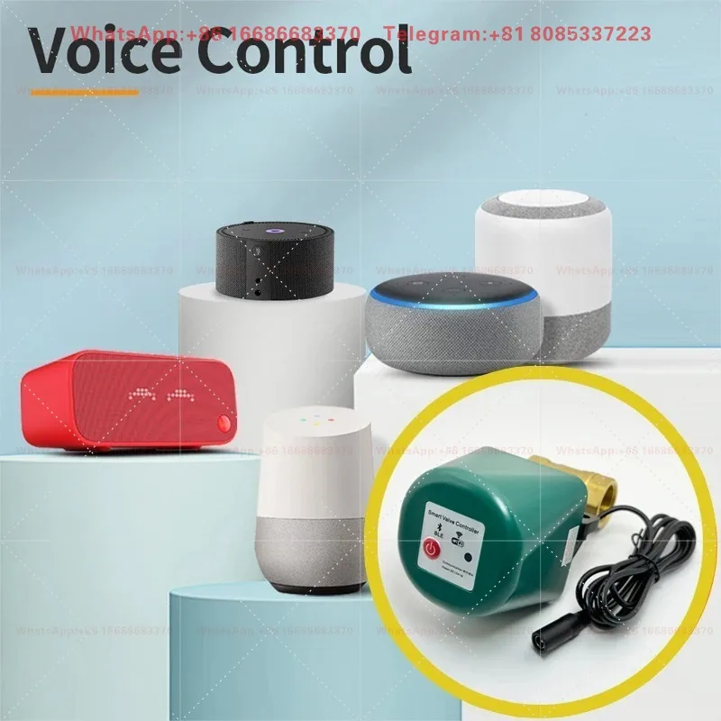 Smart Water Valve Controller Timed Automatic Switch 12V 1A  Plug Wireless Voice Control Pipeline Switch Equipment