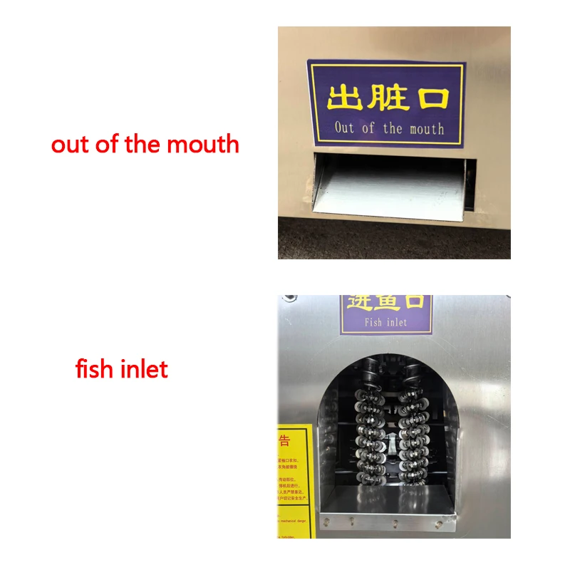 Pond Cleaning Commercial Scaling Automatic Fish Killing Machine