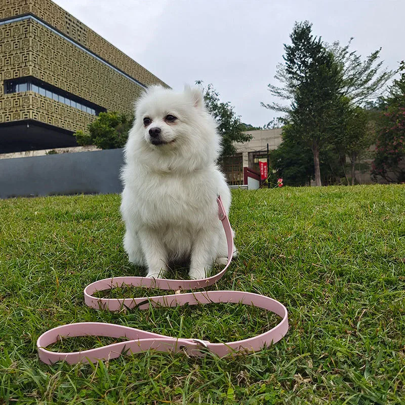 Soft PVC Dog Leash, Walking Lead for Small, Medium, Large Dogs, Waterproof, Durable, Anti-bite, Wear-Resistant, Anti-dirty