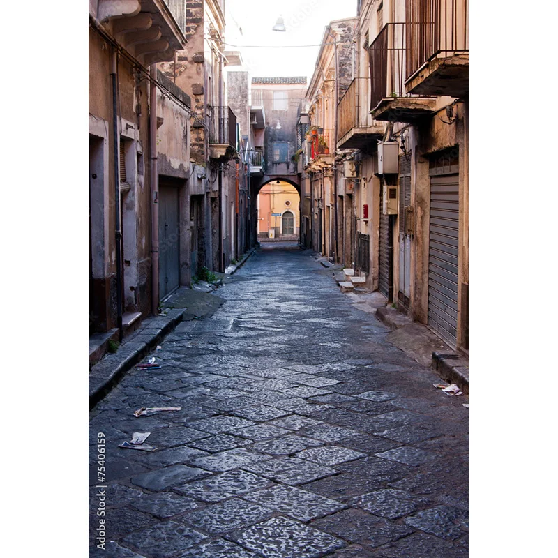 Old Town Street View Scenery Photography Backdrops Props Travel  Portrait Photo Backgrounds Studio ST-01