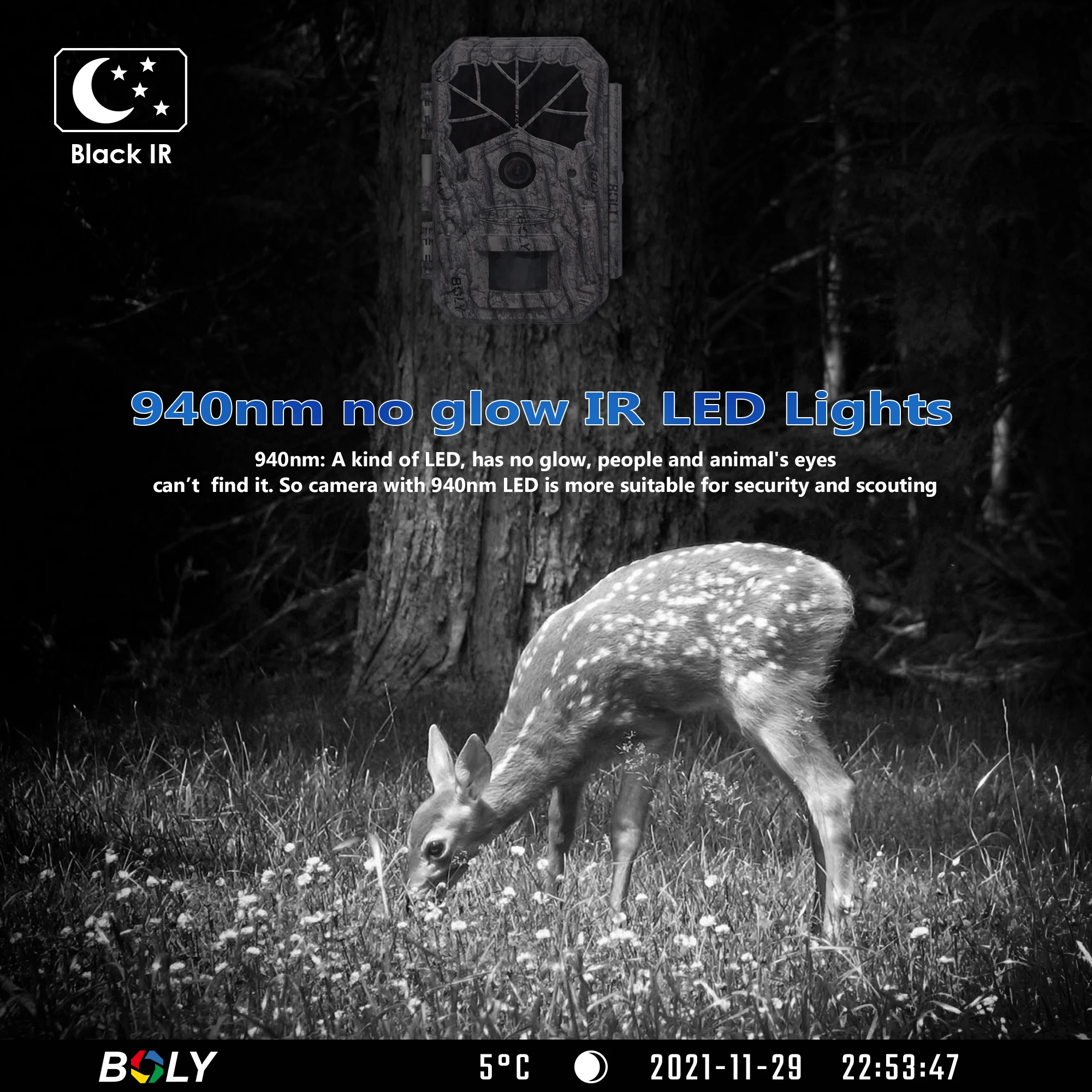 Imagem -04 - Boly Bg636-k Night Vision Hunting Game Câmera Invisible ir Trail Game Câmera para Monitoramento de Segurança 64mp 940nm