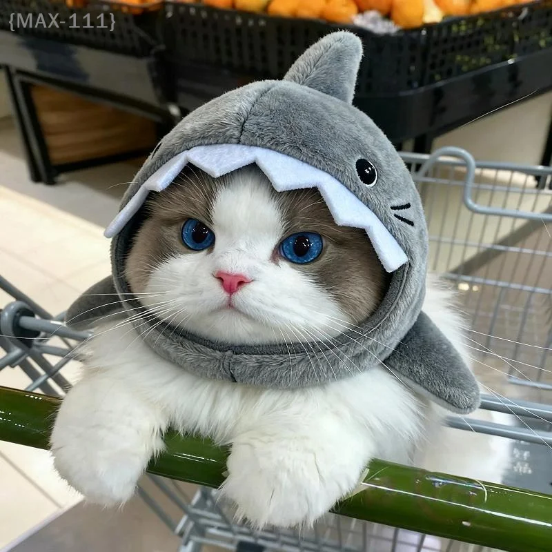【F2-MAX111】Nuova Fascia per capelli a forma di squalo per gatti, Cappello invernale caldo in peluche per cani, Simpatico copricapo a cartone animato, Accessori per fotografia e decorazioni