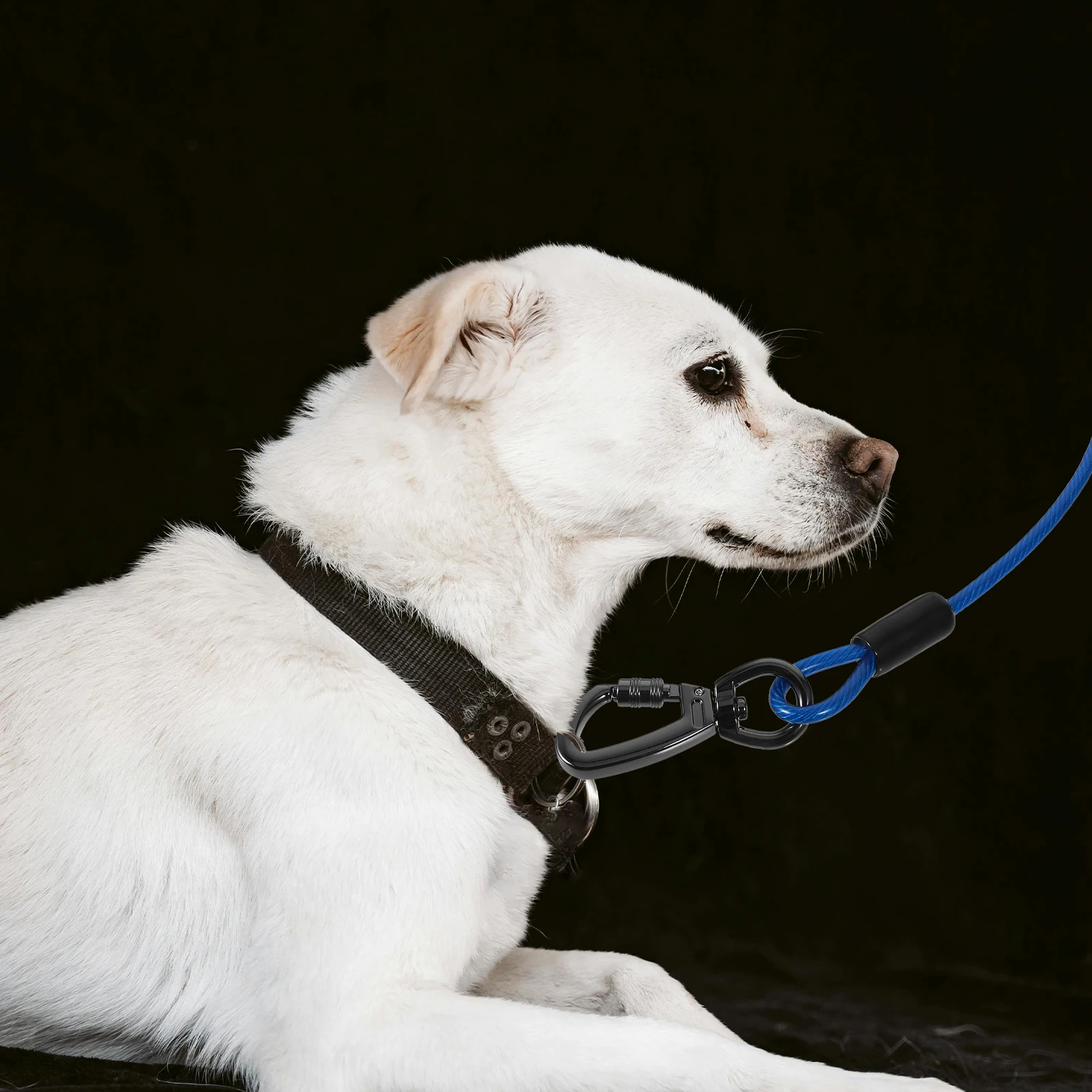 

Sturdy Dog Traction Rope Pet Leash Walking Running Outdoor Lightweight Comfortable Leash For Small Medium Large Dogs Training