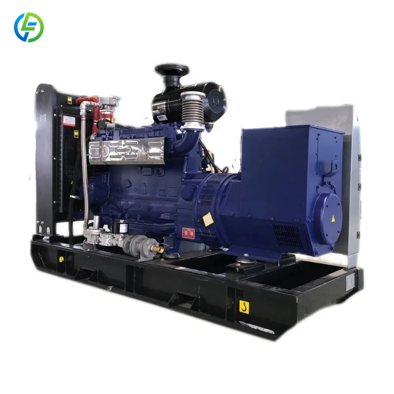 Multiple Power Multiple Models 40kw 50kw 80kw 100kw 120kw Natural Gas Power Generator Price FL Customized