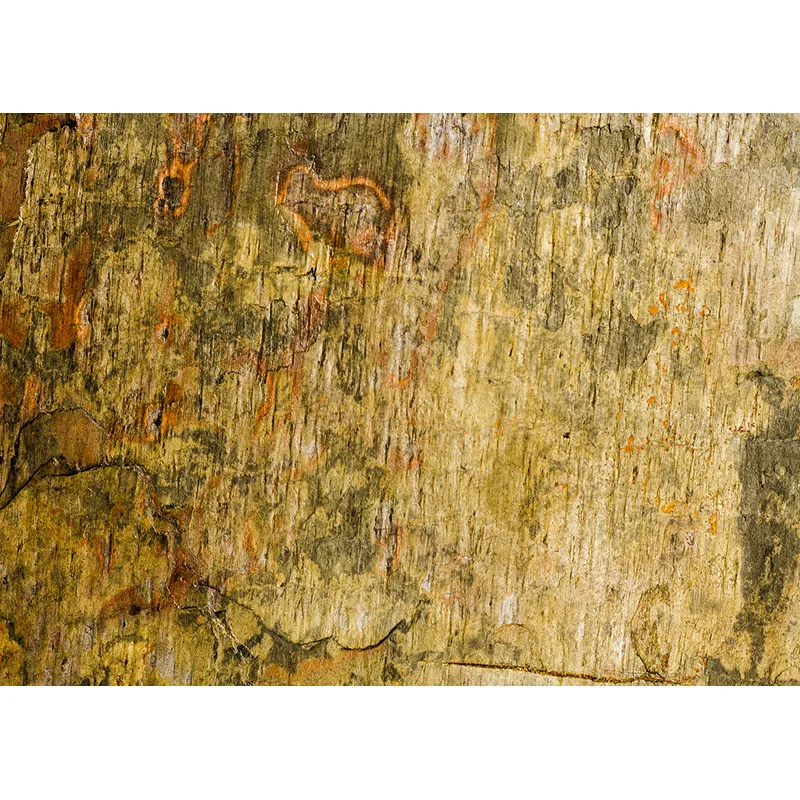 Sheng yongbao Kunst Stoff Farbe Marmor Fotografie Hintergrund Porträt Foto Hintergründe Studio Requisiten ZLDT-02