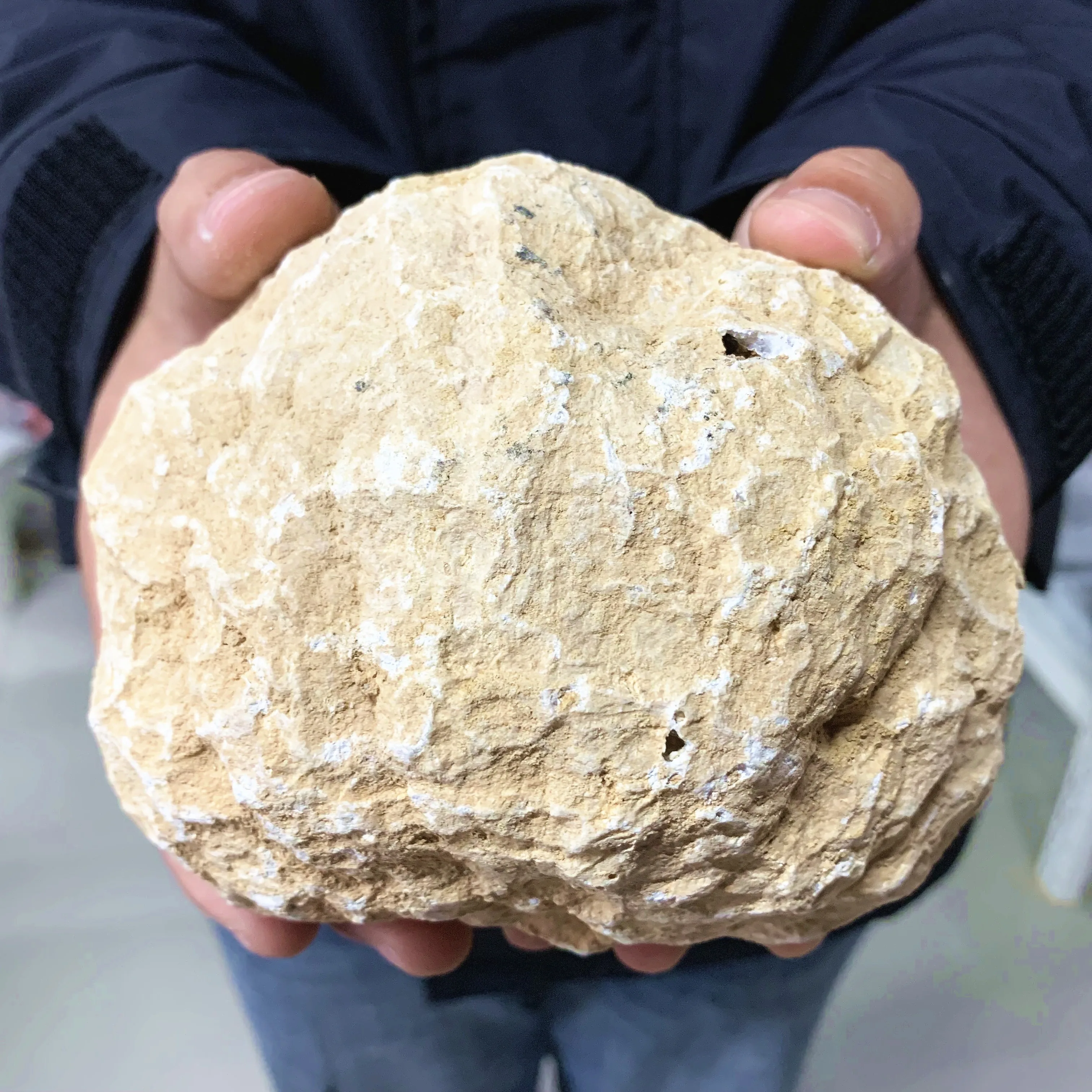 Racimo de geoda de ágata Natural rara, mejora la estética y el bienestar del hogar con esta piedra de energía mística