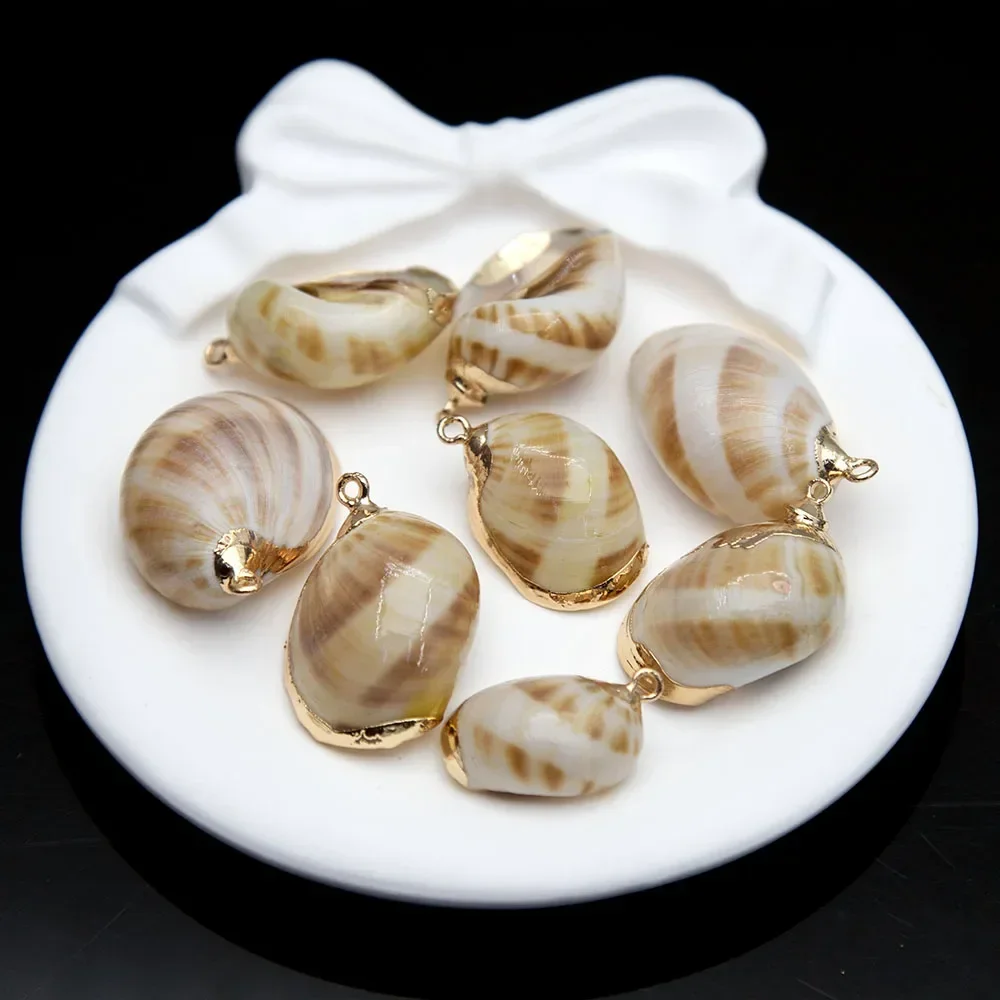1/5/10 قطعة 10-30 مللي متر محارة شل قلادة جالبة للحظ الحدود الذهبية الطبيعية البحر قذيفة DIY بها بنفسك لصنع القلائد أقراط حجم غير منتظم