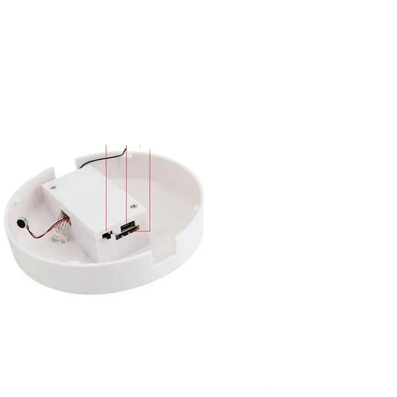 a-model-shell-prepared-for-friends-in-new-zealand