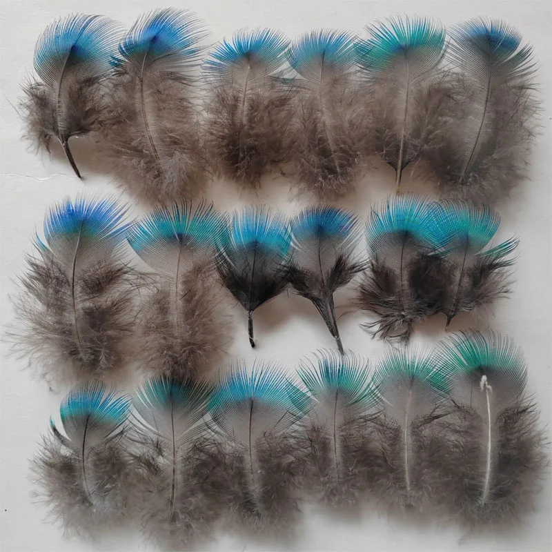 50 sztuk/partia krótkie niebieskie PEACOCK BODY PLUMAGE FEATHERS, mały paw pióropusz do rękodzieła, akcesoria do majsterkowania, błyszczący niebieski