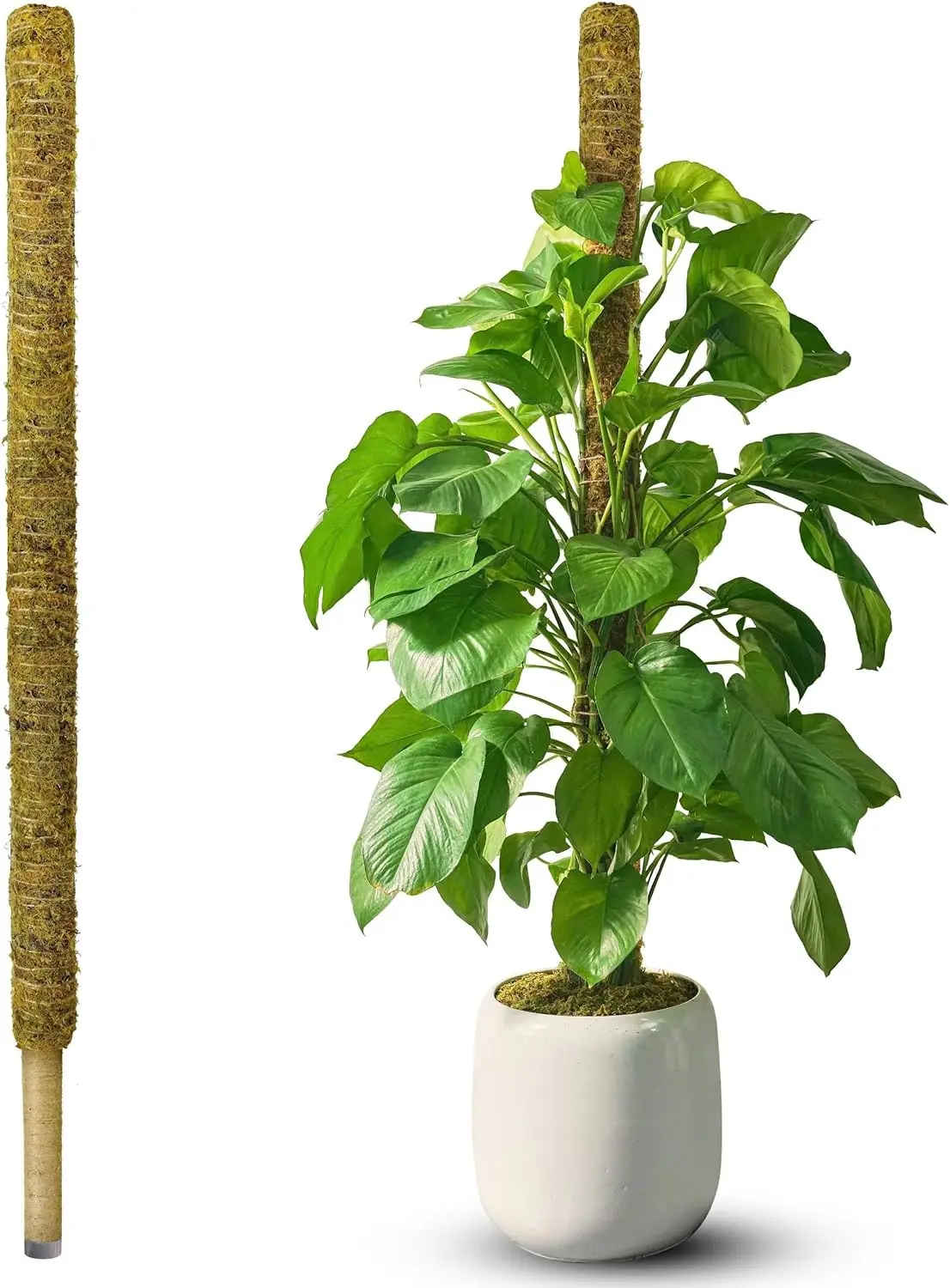 Non-Bendable Pole for Big Plants, Large Moss Pole for Plants Monstera, Plant Stakes for Indoor Plants, Monstera Plant Support