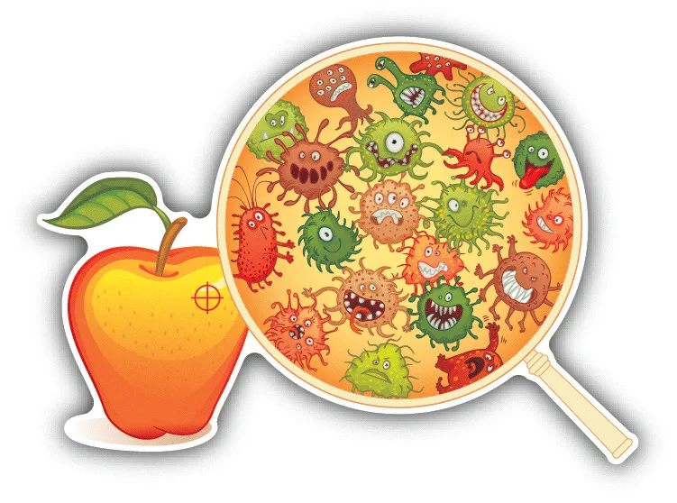 

Fruit Microscope Bacteria Sticker Decal Accessories Truck Bumper Guitar Phone Window Engine Cover Decorative Camping Logo Sticke