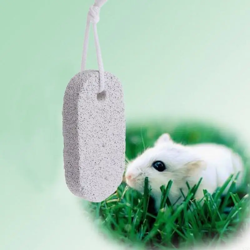 Denti lava criceto 97qd macinare il giocattolo da masticare in pietra durevole per cincillino gerbil