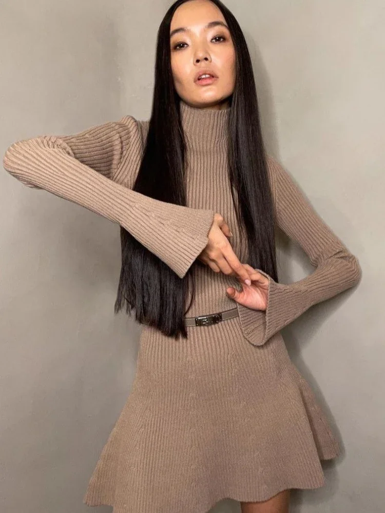 

Autumn Elegant Mini Dress Winter 2023 New Long Sleeve Solid Turtleneck Dress High Waist Tight Short Knitted A- Line Dress Women