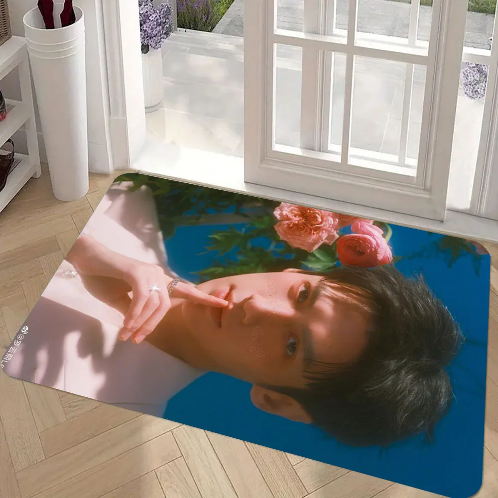 

Luo Yunxi Rug Wrinkle-Resistant Doormat Outdoor Entrance Floor Decorative Washable Carpet7.23