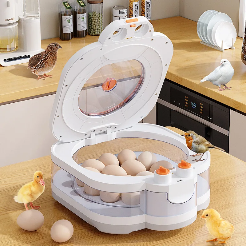 Household Mini Automatic Egg Incubator, Indoor Constant Temp Hatching Box For Quail Poultry Bird Eggs Home Supplies
