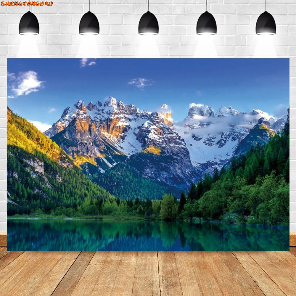 خلفية تصوير ربيعية، عشب الغابة الخضراء، السماء الزرقاء، المناظر الطبيعية الجبلية، ديكور العطلة، صورة خلفية الصورة