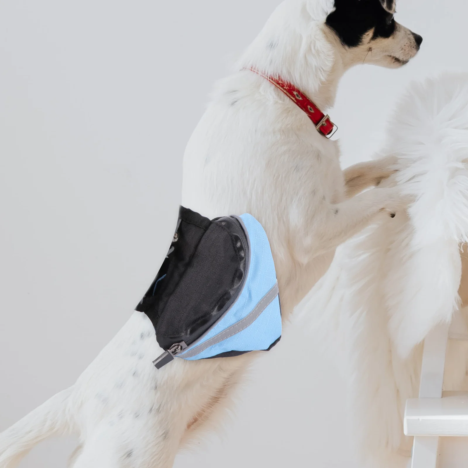 Dog Backpack Waterp… - image