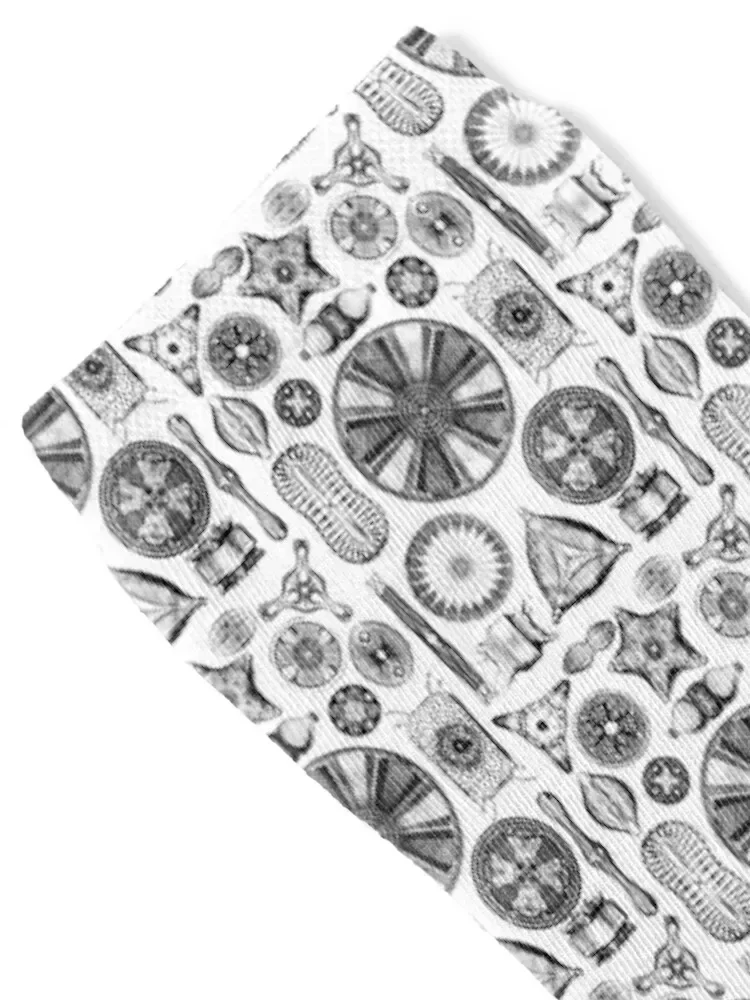 Ernst Haeckel Diatoms - outline only Socks funny sock men cotton high quality cartoon Socks Women's Men's