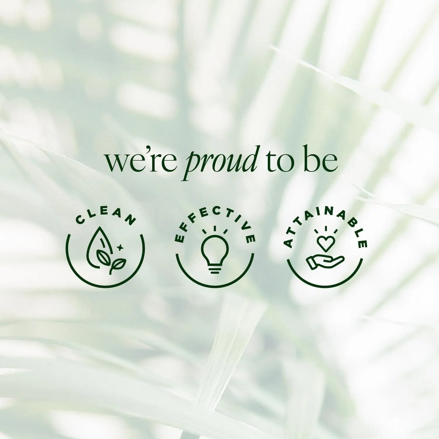 Tree of Life Beauty gezichtsverzorgingsset, verhelderend, verstevigend, hydraterend, droog gezicht, dermatoloog getest - Trio Power Kit