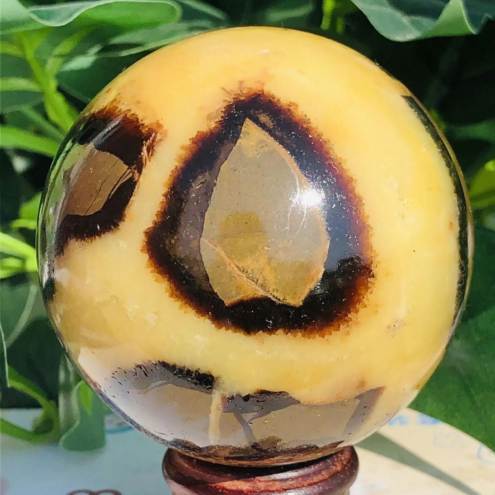 Natural Turtle Back Stone Quartz Dragon Crystal Ball Gem Mineral Specimen Healing Reiki