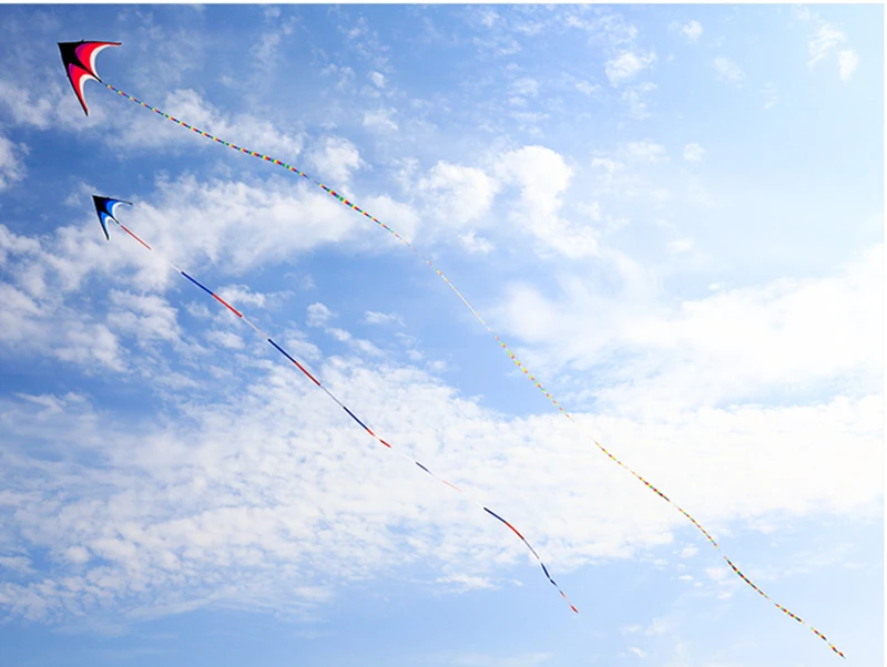 Grande caudas de pipa voando pipa windsocks pipas arco-íris cauda pipa para crianças avião pipa voando pássaro pipas enrolador drachen cometas koi