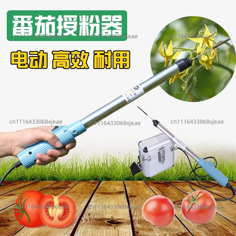 Front window tomato small tomato electric pollinator vibration pollination machine small persimmon flower point machine flower