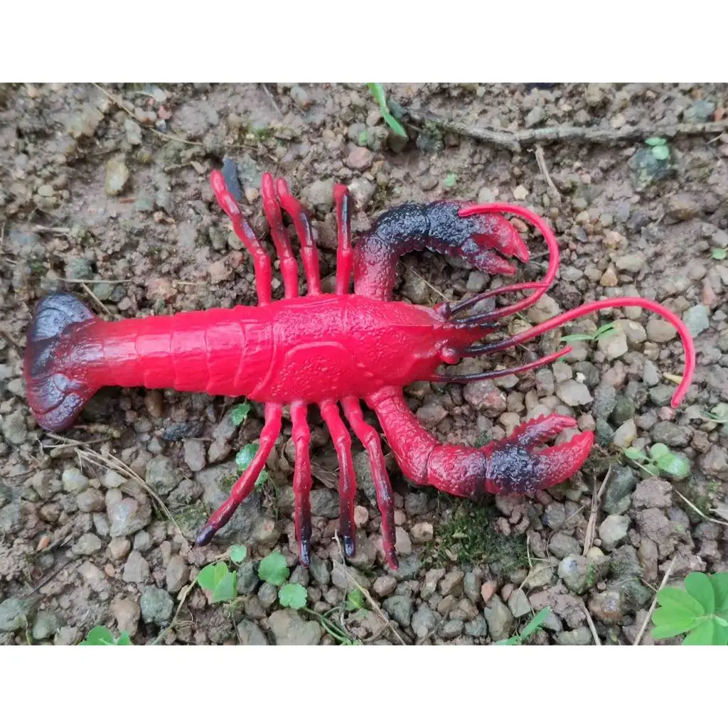 Fake Lobster Model Realistic Plastic Crab PVC Marine Animal Simulation Toy Lobster Fish Decoration for Classroom and Exhibitions