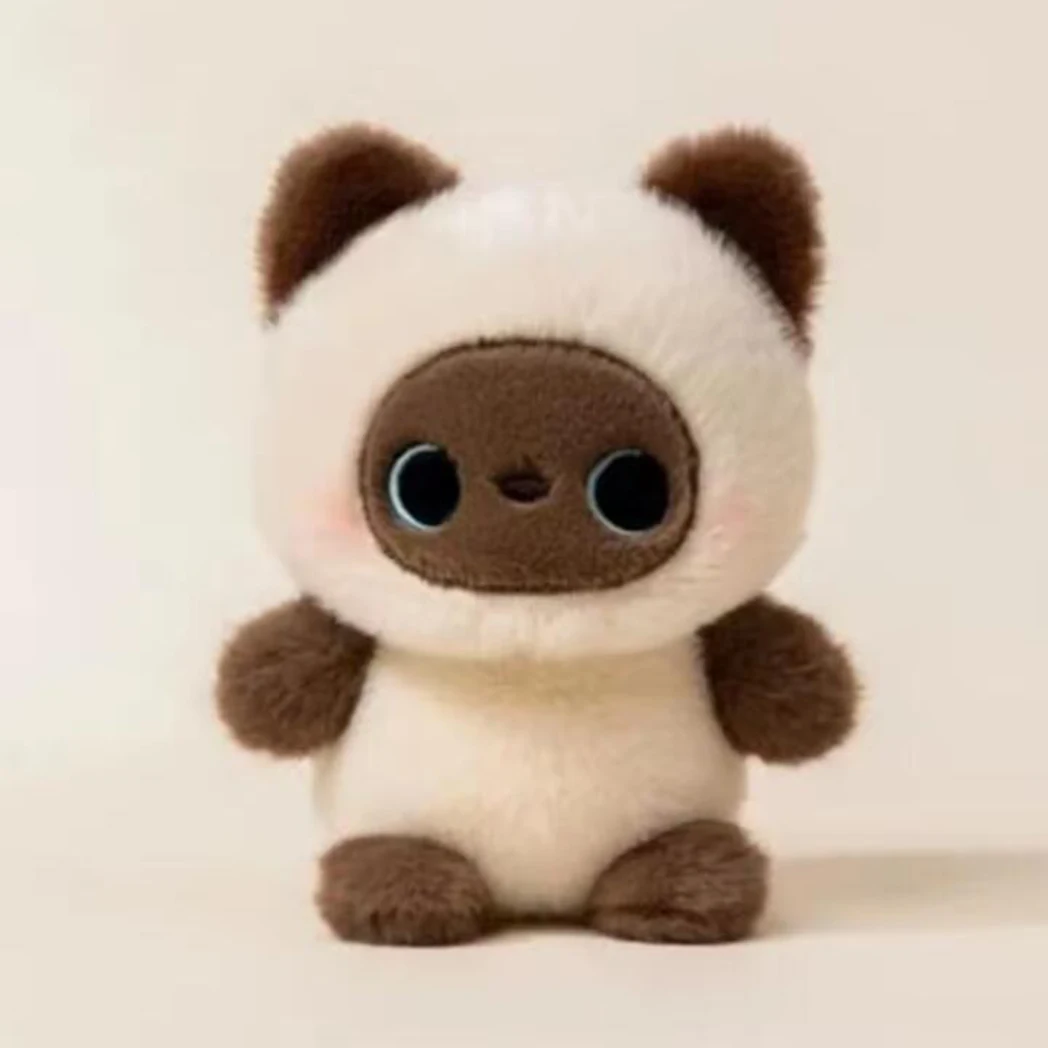 Little Siamese Cat