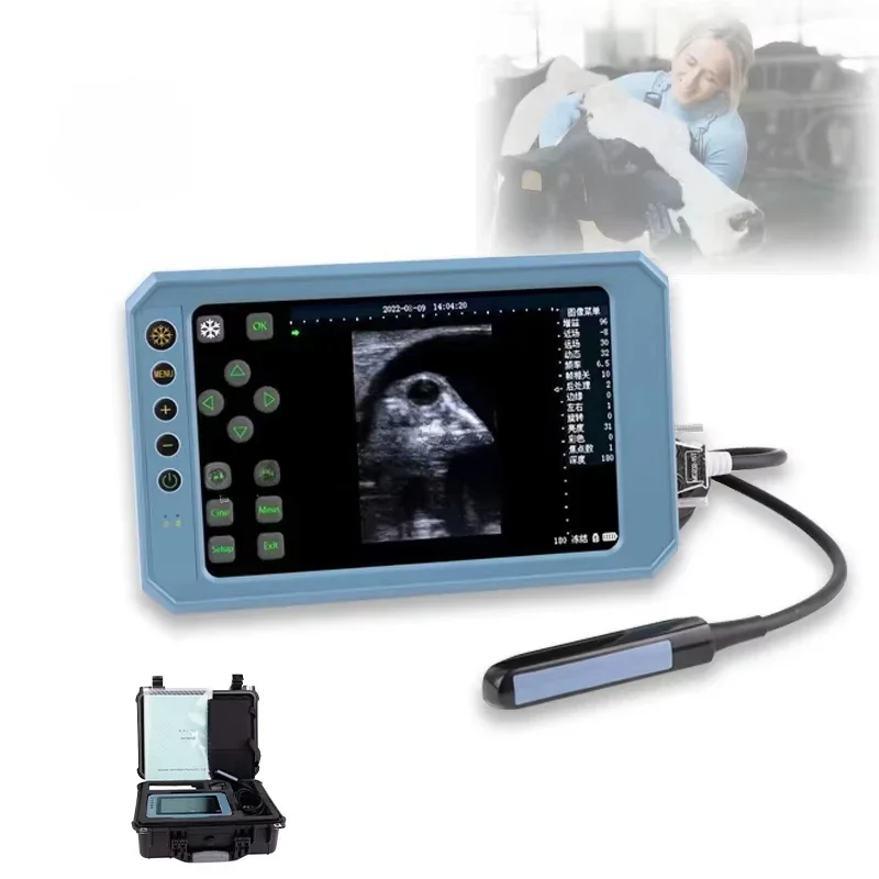 

Cow Sheep Cat Dog Test Preg Nancy Portable Veterinary 7 Inch Touch Screen Ultrasound Scan Machine