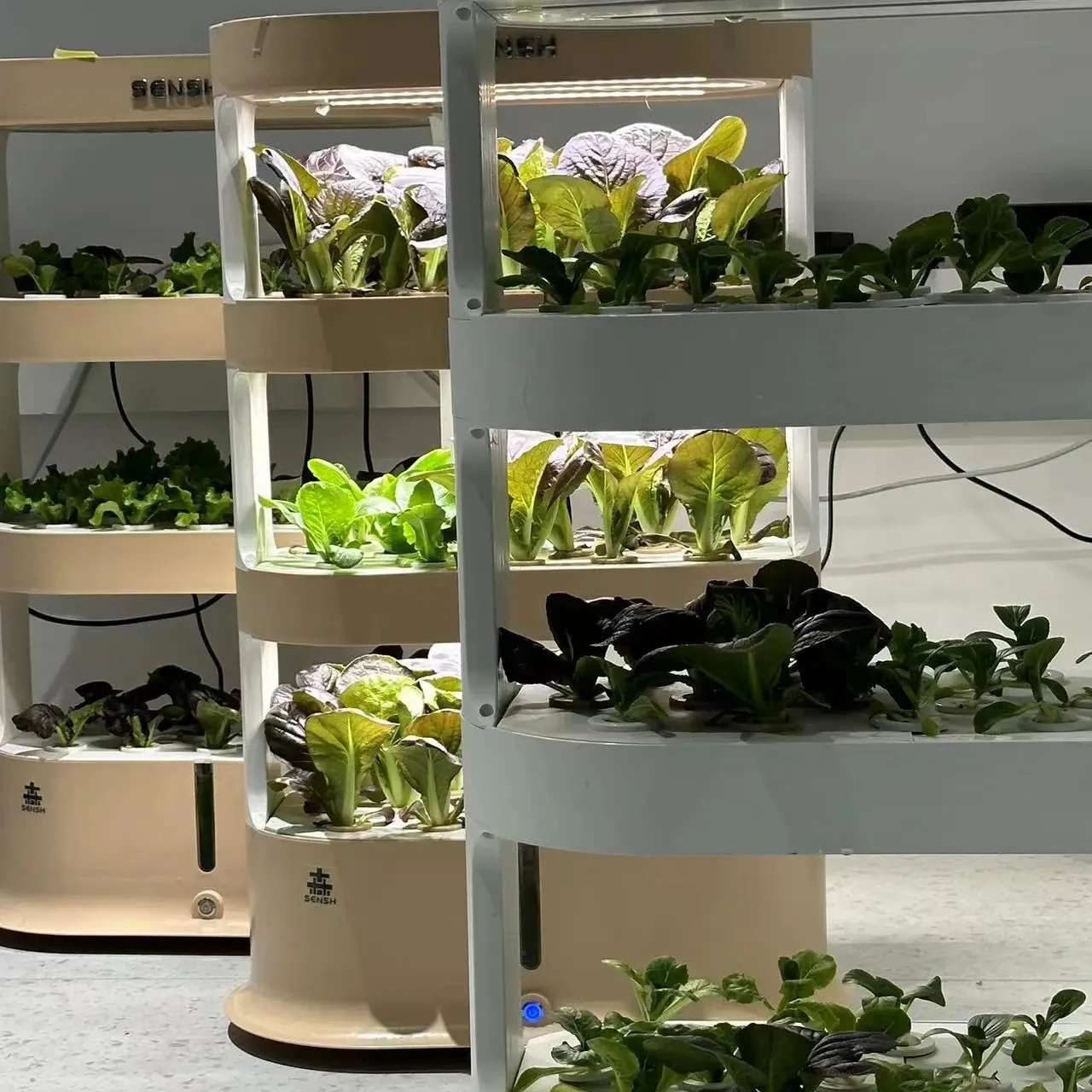 Indoor agriculture soilless cultivation system greenhouse hydroponic system