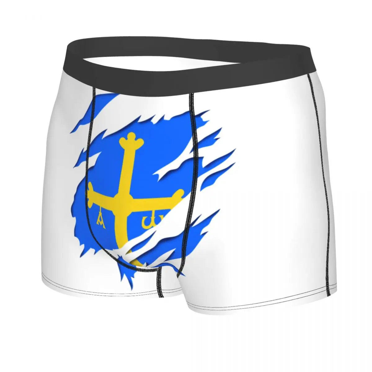 Custom Asturias Flag And Coat Of Arms Underwear Men Breathbale Spain Boxer Briefs