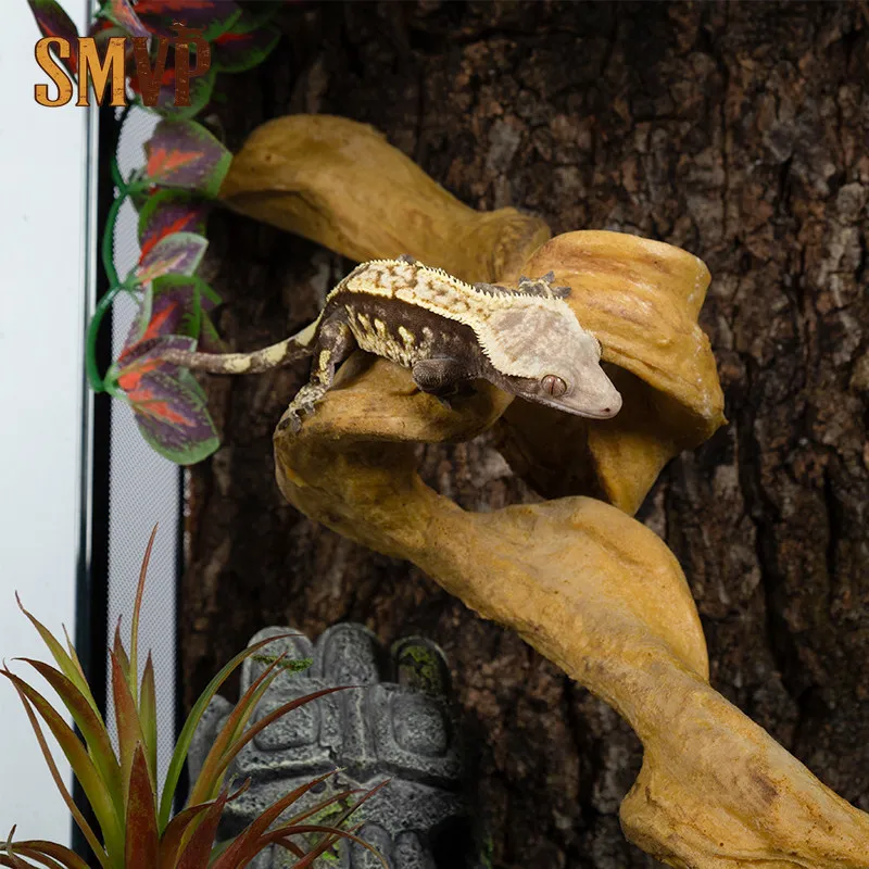 Natural Simulation Reptile Bendable Vine Branch Terrarium Landscape Decoration Climbing Log for Small Arboreal Reptile Resting
