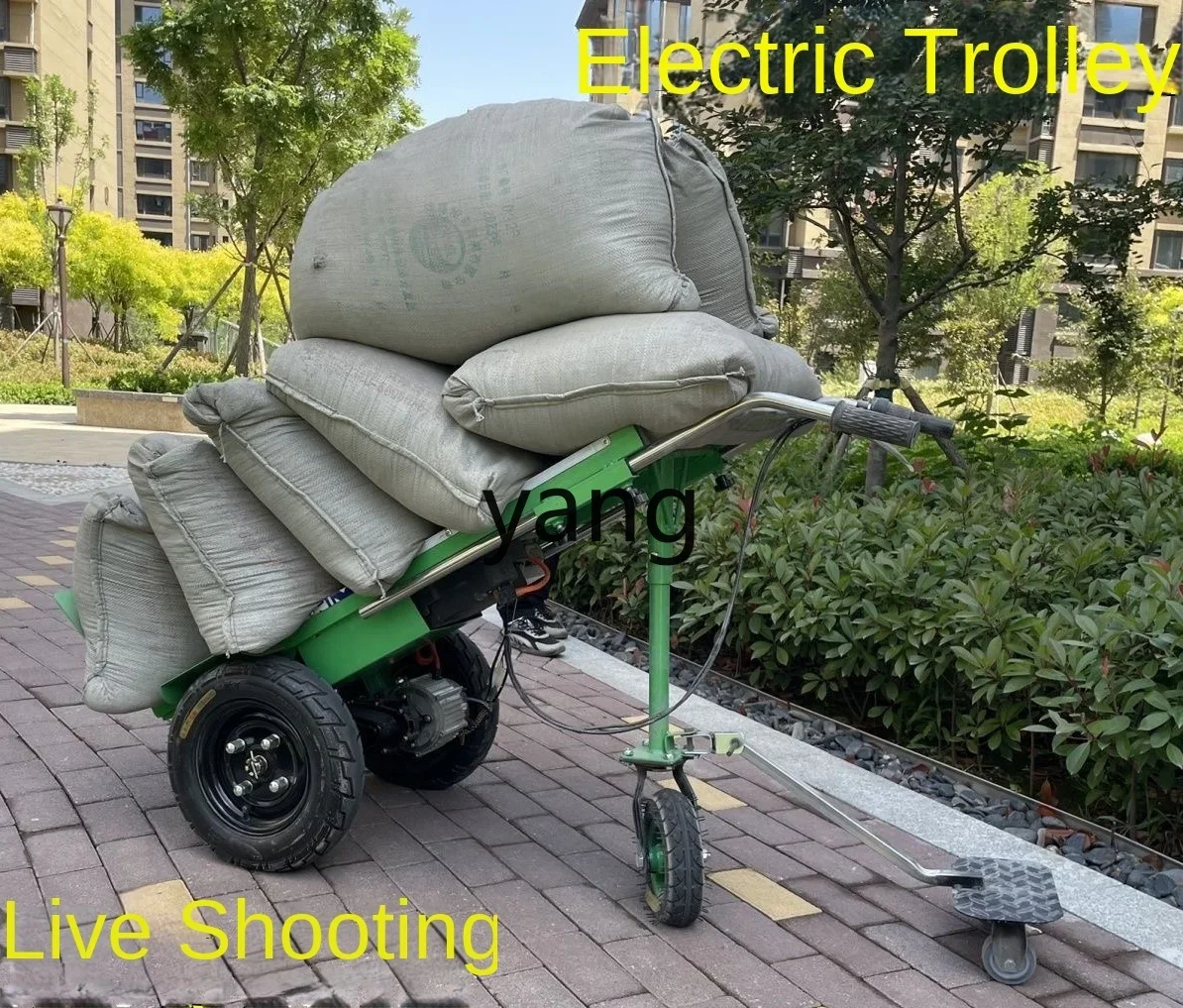 LTT Electric Hand Push Transport Truck Construction Site Pull Cargo Climbing Trolley
