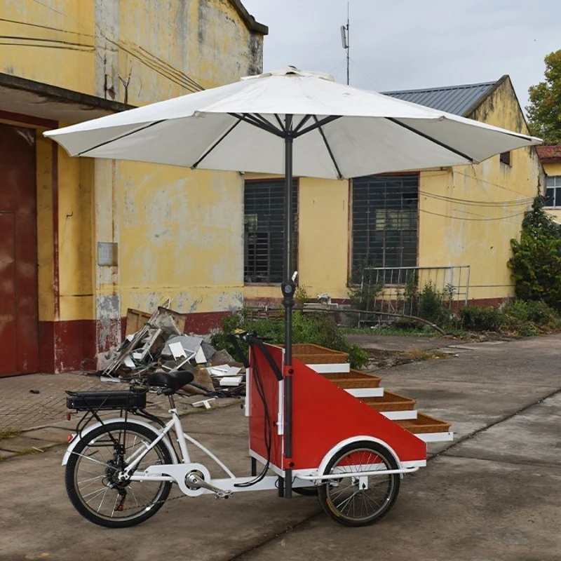 Vegetables and Fruits Selling Cars, Street Stalls, Upside Down Tricycles