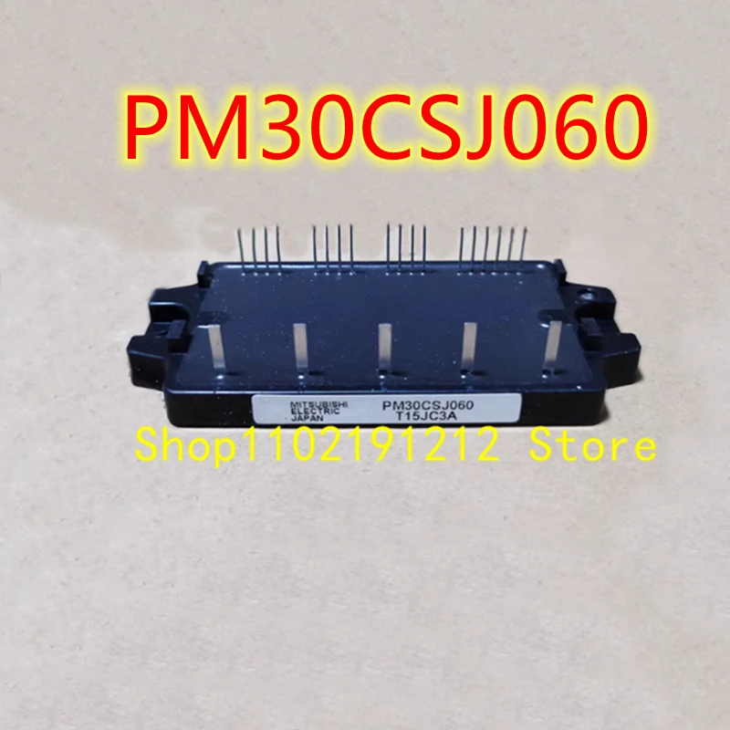 PM30CSJ060 MODULE