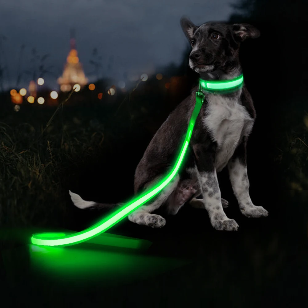 Dog Accessories Light Up Dog Leash Led Illuminating Led Dog Nylon Pet Rechargeable Led Leash