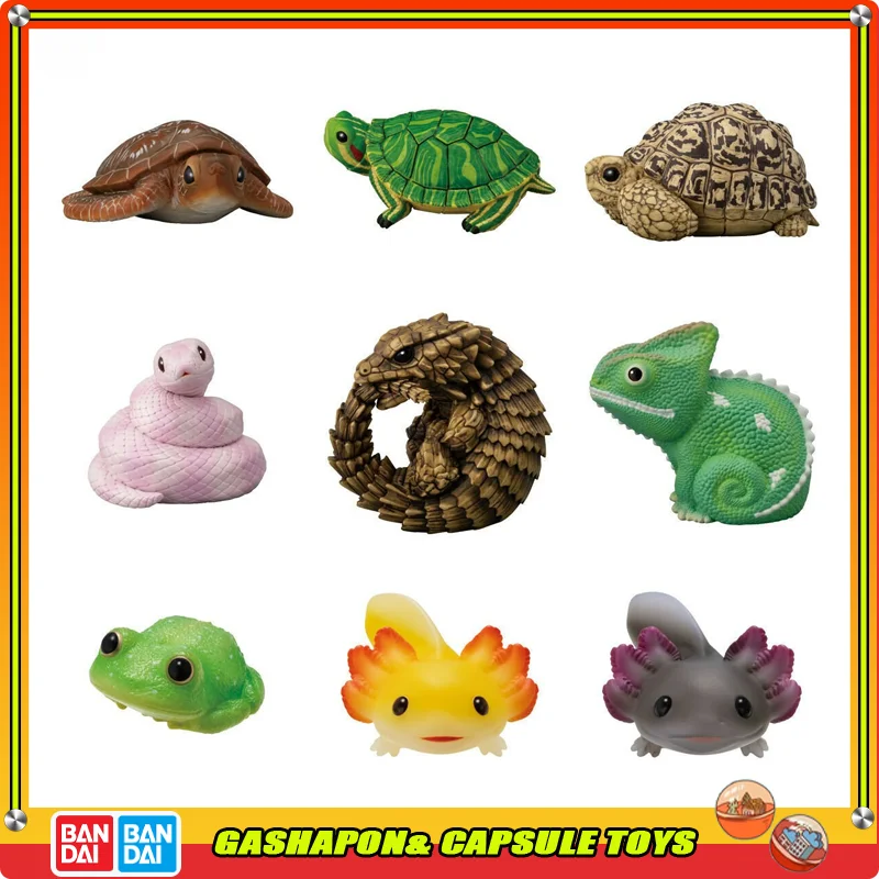 BANDAI Action Figures Model Amphibians Land Turtle Baby Fish Snake Chameleon EX CASHAPON Genuine Q-version Cute Collectible Toys