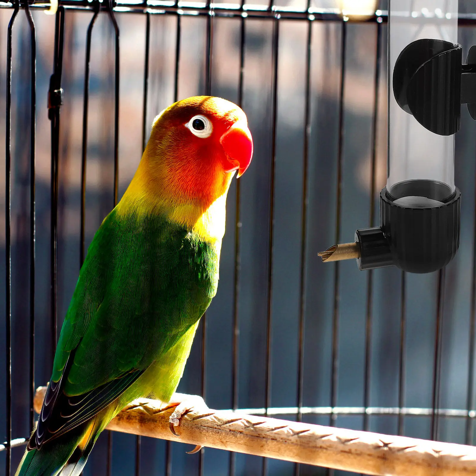Bird Automatic Water Dispenser Clear Container Copper Bite Nozzle Stable Hanging Design Parakeet Parrot Cage Feeder