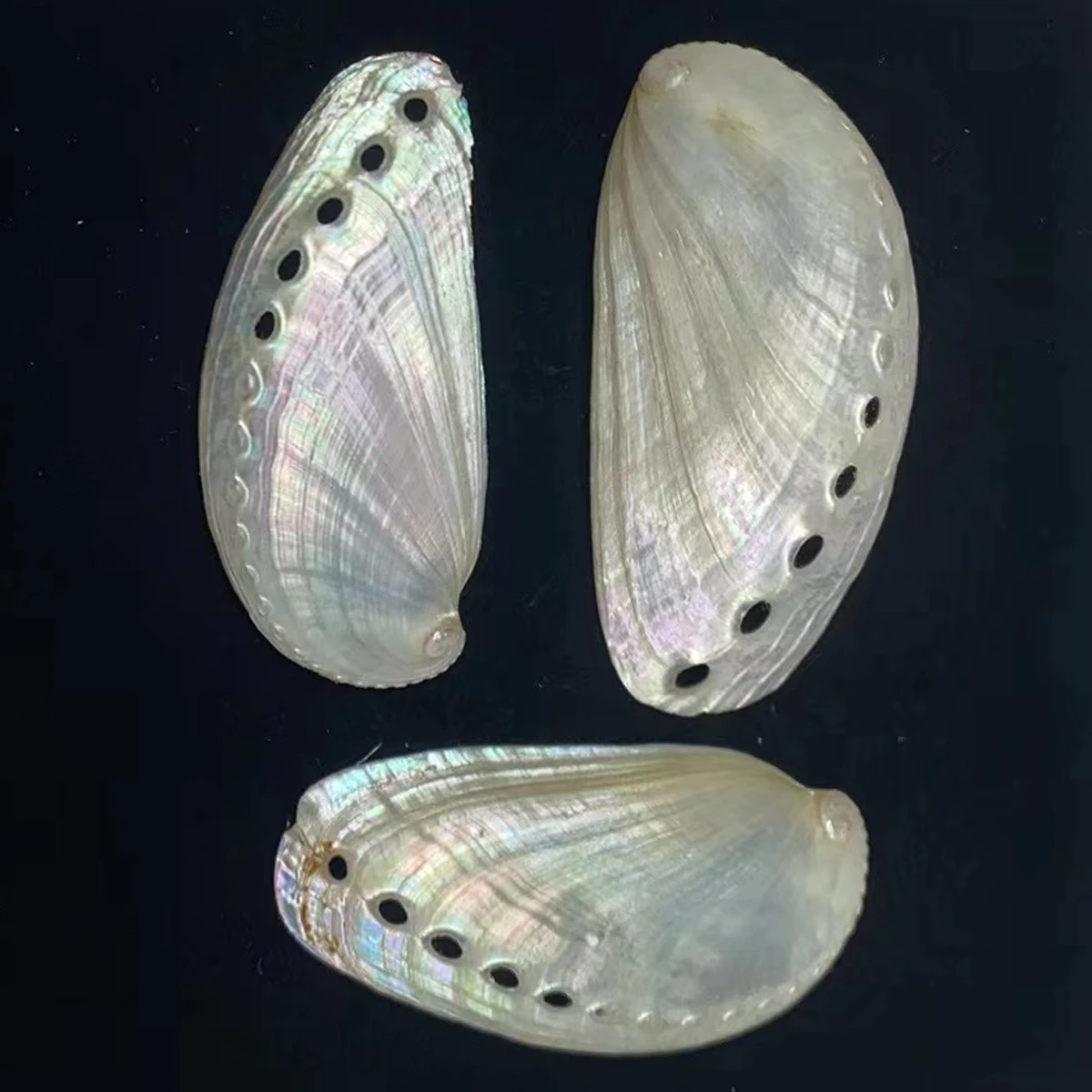 10pcs Natural Freshwater Shell Beads Pendant 40-64mm White Abalone Shell Charms for Jewelry Making DIY Necklace Earrings Supply