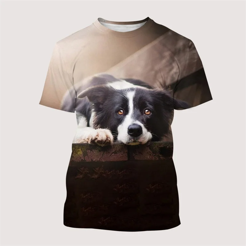 Animal Border Collie Graphic T Shirts Men Casual T-shirt Fashion 3D Printed Street Summer Tee Fashion Harajuku Short Sleeve Tops