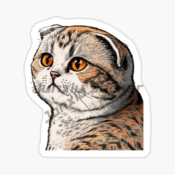 scottish fold Cat Creative Pets Cute Sticker Wall Room Truck Accessories Window Motorcycle Car Bicycle Glass Helmet Table Decal