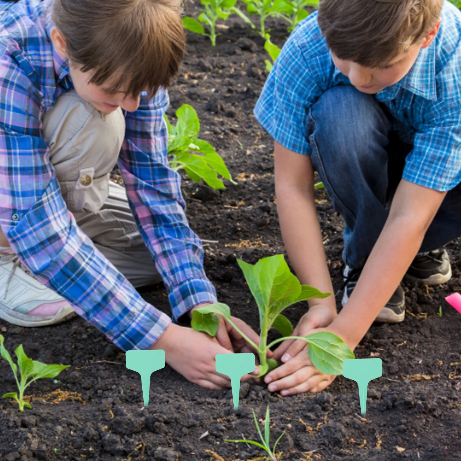 

1Set Gardening Plant Wire Ties and Labels Reusable Flexible Plant Markers for Stems Trellis Vegetable Support Garden