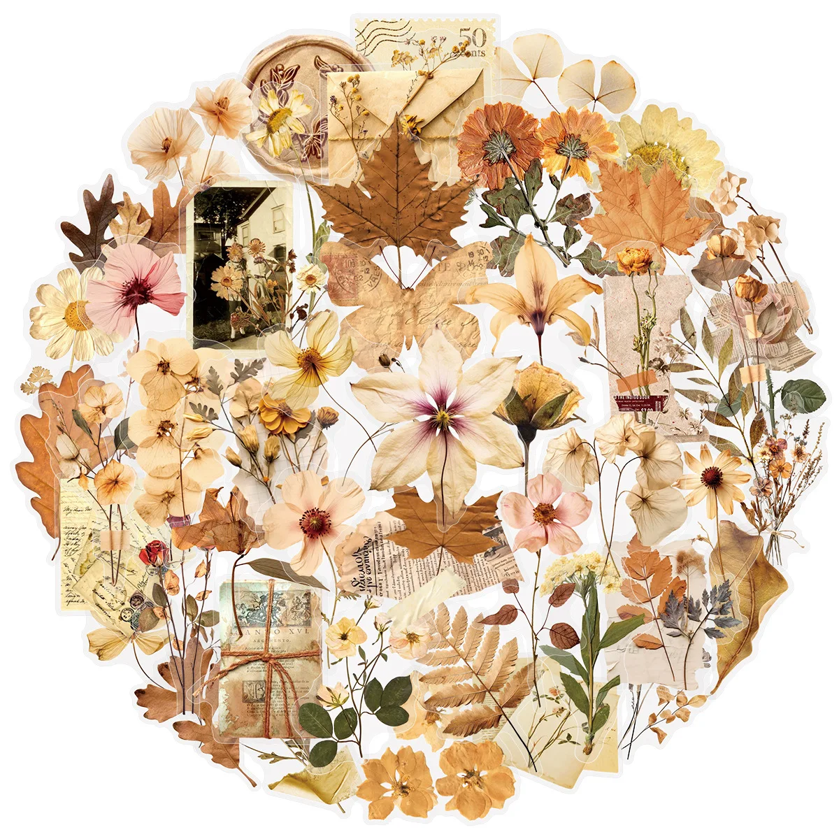 50Pcs Retro Dried Flower Leaf Stickers Transparent Aesthetic Decals for Stationery Diary Phone Case Scrapbooking DIY Decor