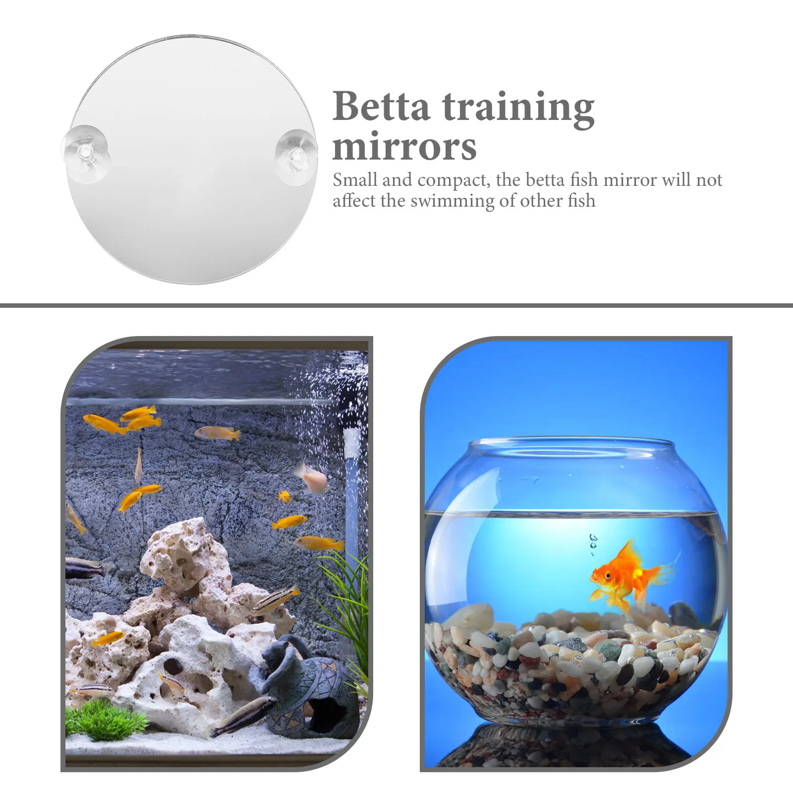 

Fish Tank Mirror Suction Cup Betta Toy Decorative Double Sided Acrylic Mirror for Fish Training Non Fading Suitable