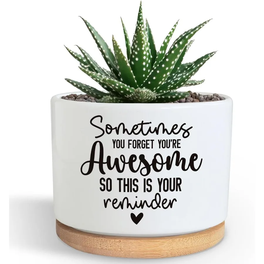 

Ты потрясающий забавный горшок для суккулентов, милый 3,5-дюймовый маленький керамический горшок для кактусов с дренажем, стол для домашнего офиса Dr for F