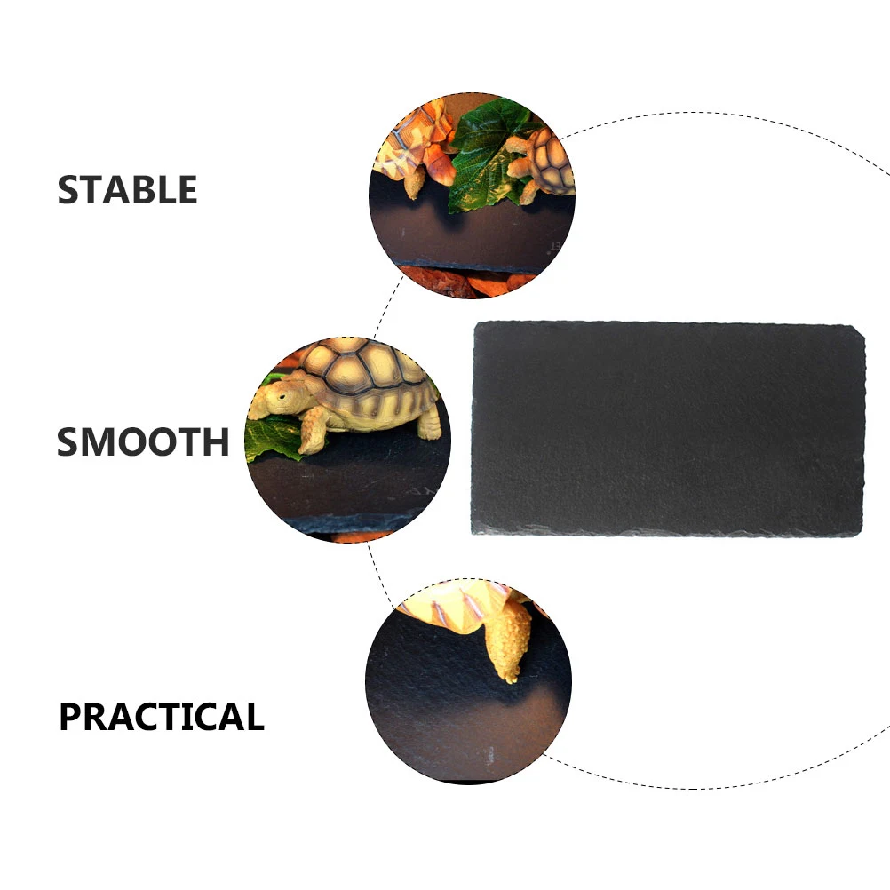 

1Pcs Reptile Stone Board Black Feeding Basin Tortoise Lizard Resting Plate Natural Surface Easy Clean Stable Stone Board